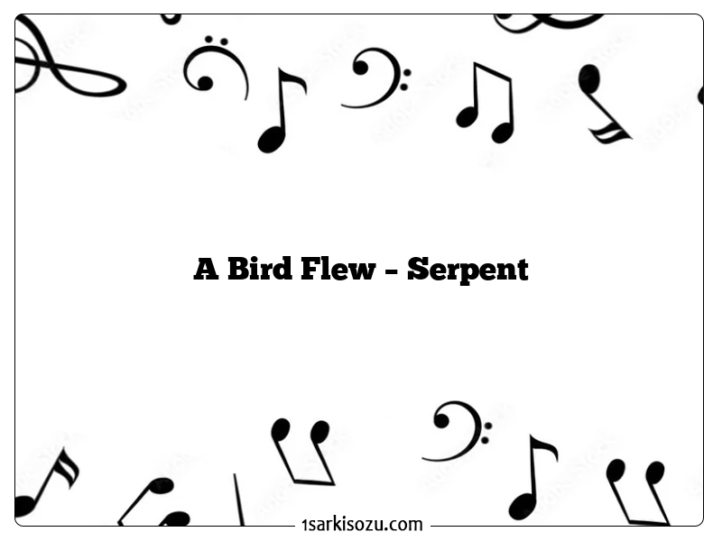 A Bird Flew – Serpent