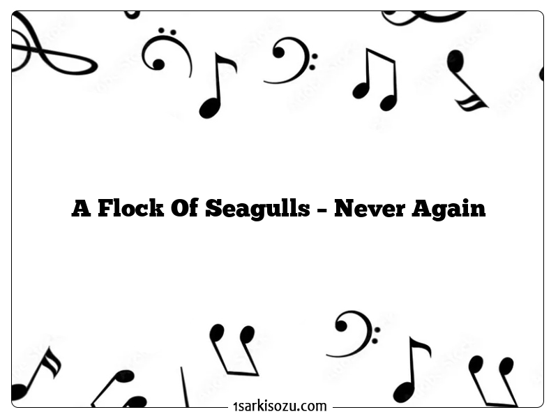 A Flock Of Seagulls – Never Again