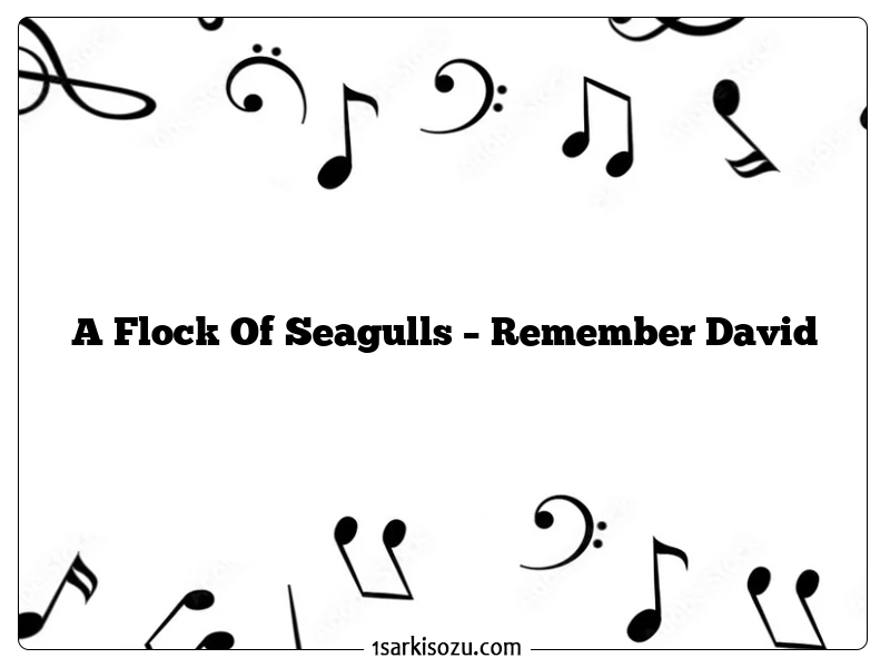 A Flock Of Seagulls – Remember David