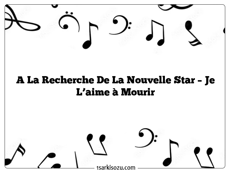 A La Recherche De La Nouvelle Star – Je L’aime à Mourir