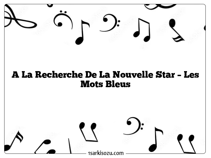 A La Recherche De La Nouvelle Star – Les Mots Bleus