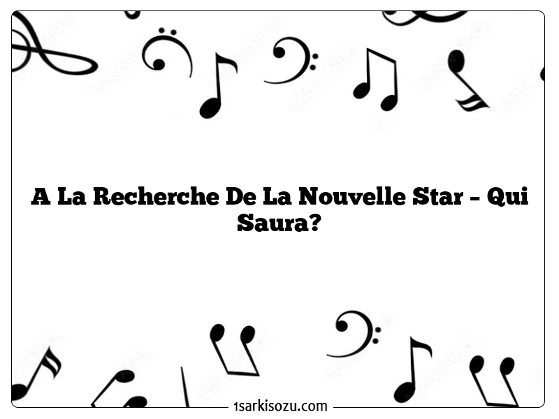 A La Recherche De La Nouvelle Star – Qui Saura?