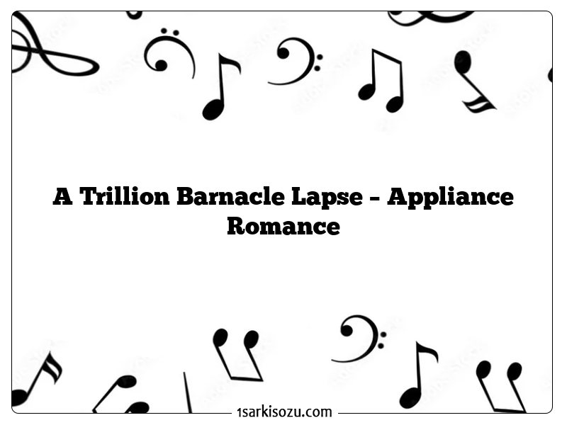 A Trillion Barnacle Lapse – Appliance Romance