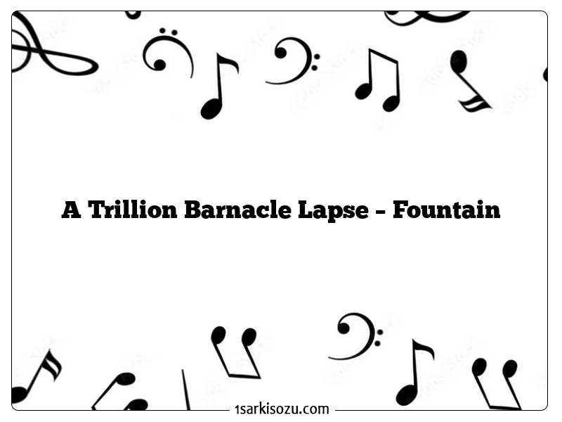 A Trillion Barnacle Lapse – Fountain