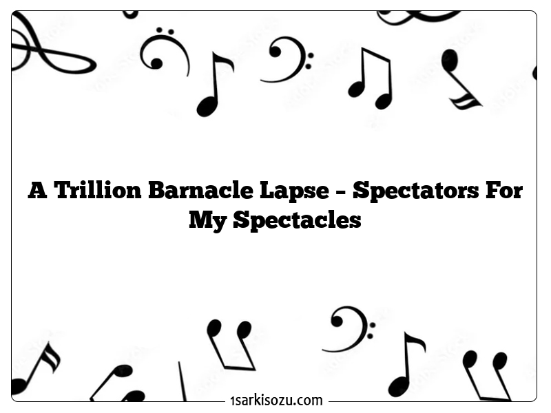 A Trillion Barnacle Lapse – Spectators For My Spectacles