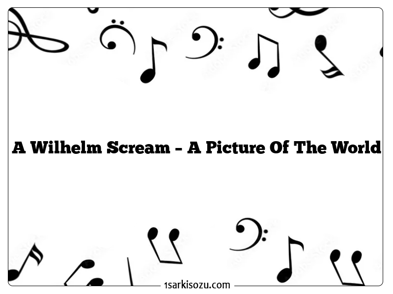 A Wilhelm Scream – A Picture Of The World