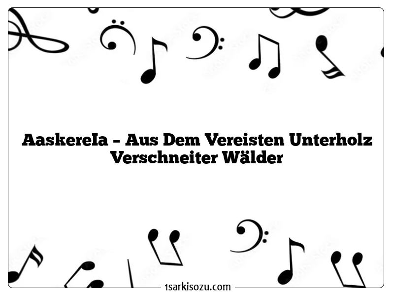 AaskereIa – Aus Dem Vereisten Unterholz Verschneiter Wälder