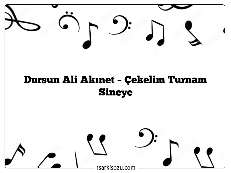 Dursun Ali Akınet – Çekelim Turnam Sineye