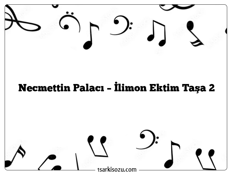 Necmettin Palacı – İlimon Ektim Taşa 2