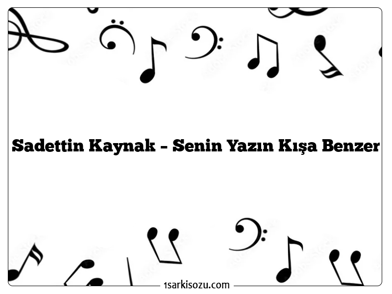 Sadettin Kaynak – Senin Yazın Kışa Benzer